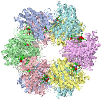 Image Biol. Unit 1 - sites