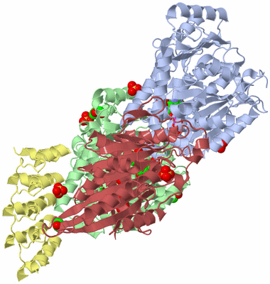 Image Asym./Biol. Unit