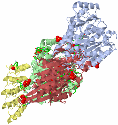 Image Asym./Biol. Unit - sites