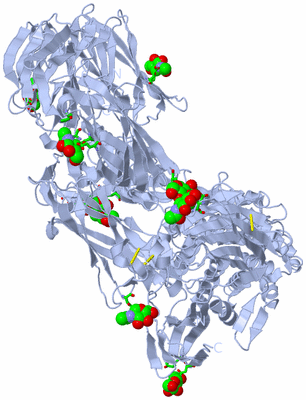 Image Biol. Unit 1 - sites