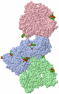 Image Asym. Unit - sites