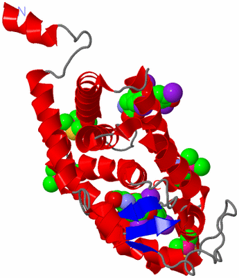 Image Asym./Biol. Unit