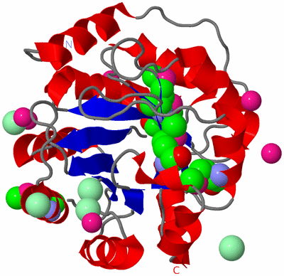 Image Asym./Biol. Unit