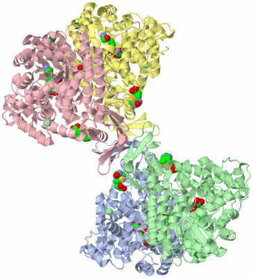 Image Asym./Biol. Unit