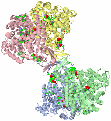 Image Asym./Biol. Unit - sites