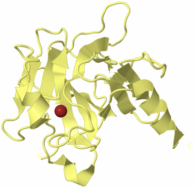 Image Biological Unit 4