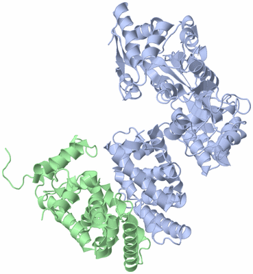 Image Asym./Biol. Unit