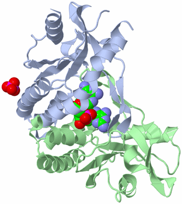 Image Asym./Biol. Unit