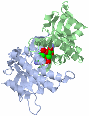 Image Asym./Biol. Unit