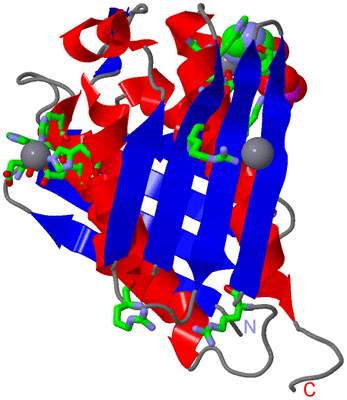 Image Asym. Unit - sites