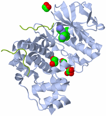 Image Biological Unit 1