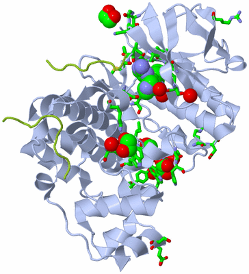 Image Biol. Unit 1 - sites