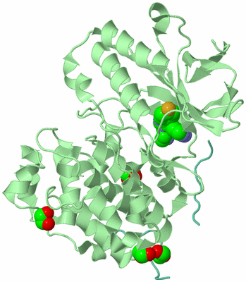 Image Biological Unit 2