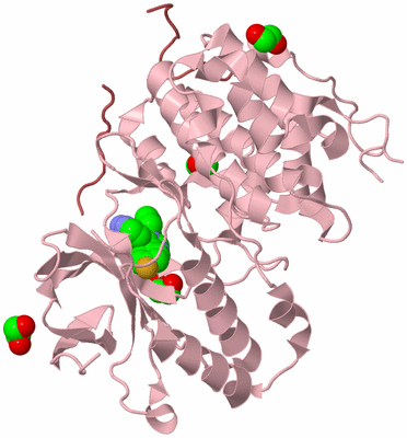 Image Biological Unit 3