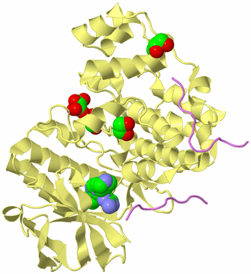 Image Biological Unit 4