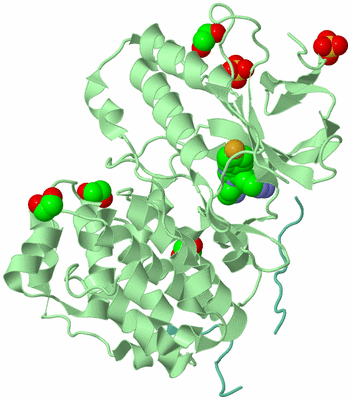 Image Biological Unit 2