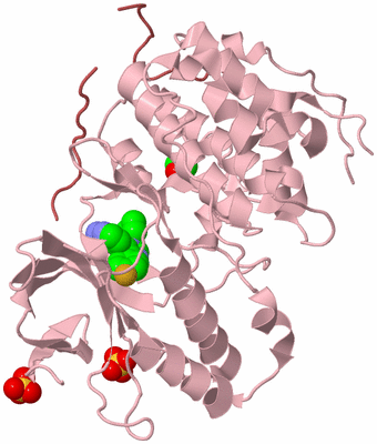 Image Biological Unit 3