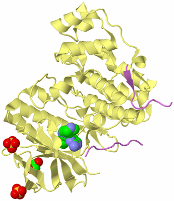 Image Biological Unit 4