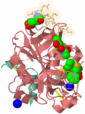 Image Asym./Biol. Unit