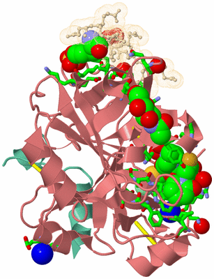 Image Asym./Biol. Unit - sites