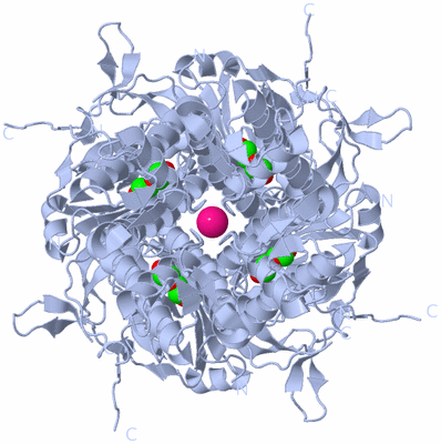 Image Biological Unit 1