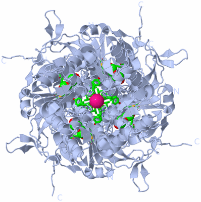 Image Biol. Unit 1 - sites