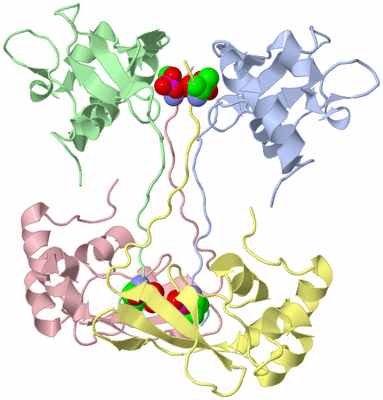 Image Biological Unit 5