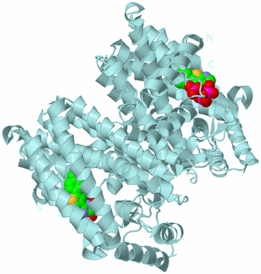 Image Biological Unit 1