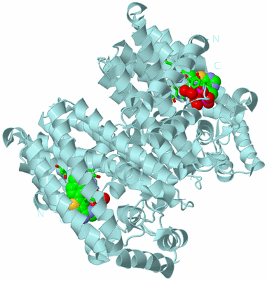 Image Biol. Unit 1 - sites