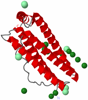 Image Asymmetric Unit