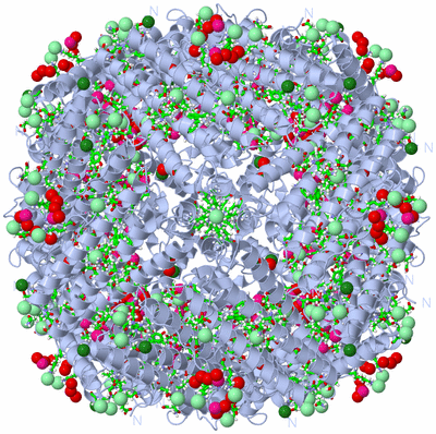 Image Biol. Unit 1 - sites