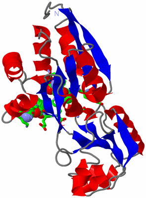 Image Asym. Unit - sites