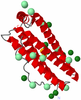 Image Asymmetric Unit