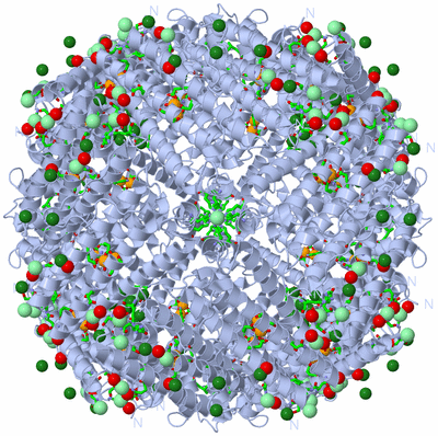 Image Biol. Unit 1 - sites