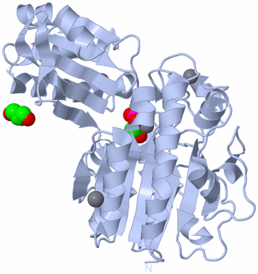 Image Biological Unit 1