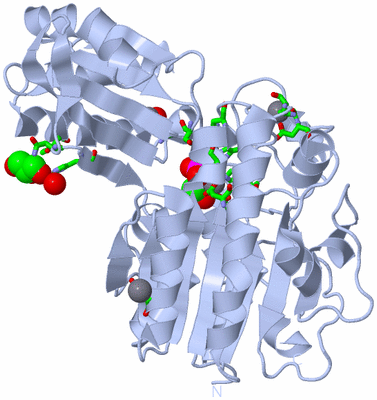 Image Biol. Unit 1 - sites