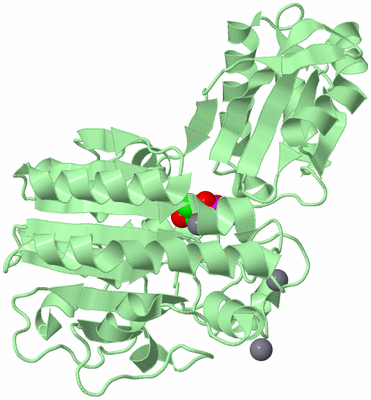 Image Biological Unit 2