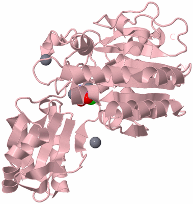 Image Biological Unit 3