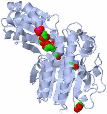 Image Biological Unit 1