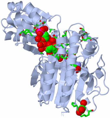 Image Biol. Unit 1 - sites