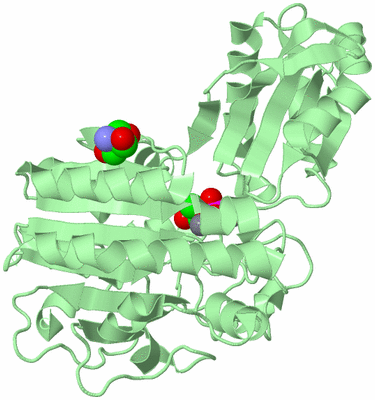 Image Biological Unit 2