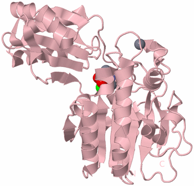 Image Biological Unit 3