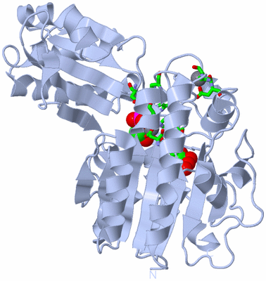 Image Biol. Unit 1 - sites