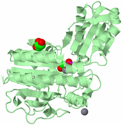 Image Biological Unit 2