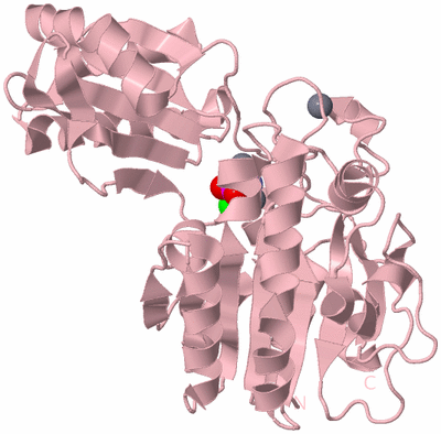 Image Biological Unit 3