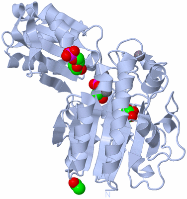 Image Biological Unit 1