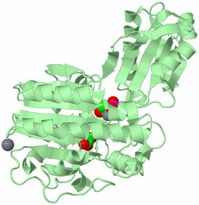 Image Biological Unit 2