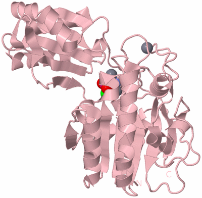 Image Biological Unit 3