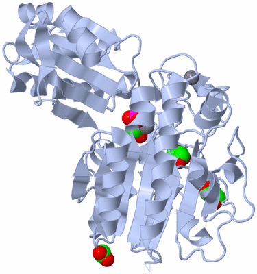 Image Biological Unit 1