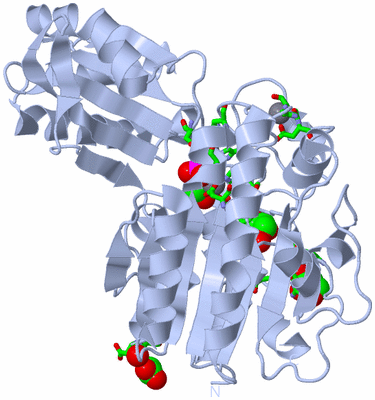 Image Biol. Unit 1 - sites